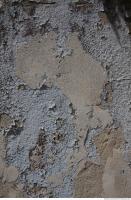 Photo Texture of Wall Plaster 0007